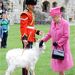 II. Erzsébet brit királynő két napos walesi kirándulása során a caernarfoni kastélyban meglátogatott egy William Windsor nevű kecskét.