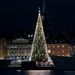 Stockholm - A világ legmagasabb karácsonyfája?