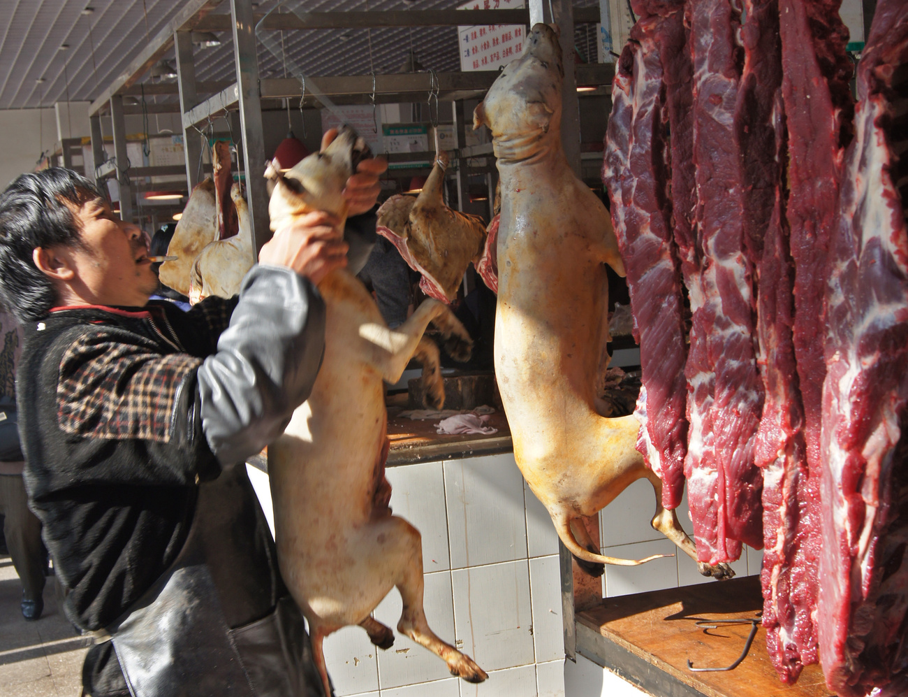 Kutyahús-piac Kína déli tartományában