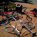 Három kollégánk biciklivel vágott neki a Balatonnak