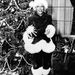 Bing Cosby fehér karácsonyról álmodozott a '40-es években