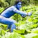 Az Avatar híres jelenete a LAD csoport jótékonysági naptárában