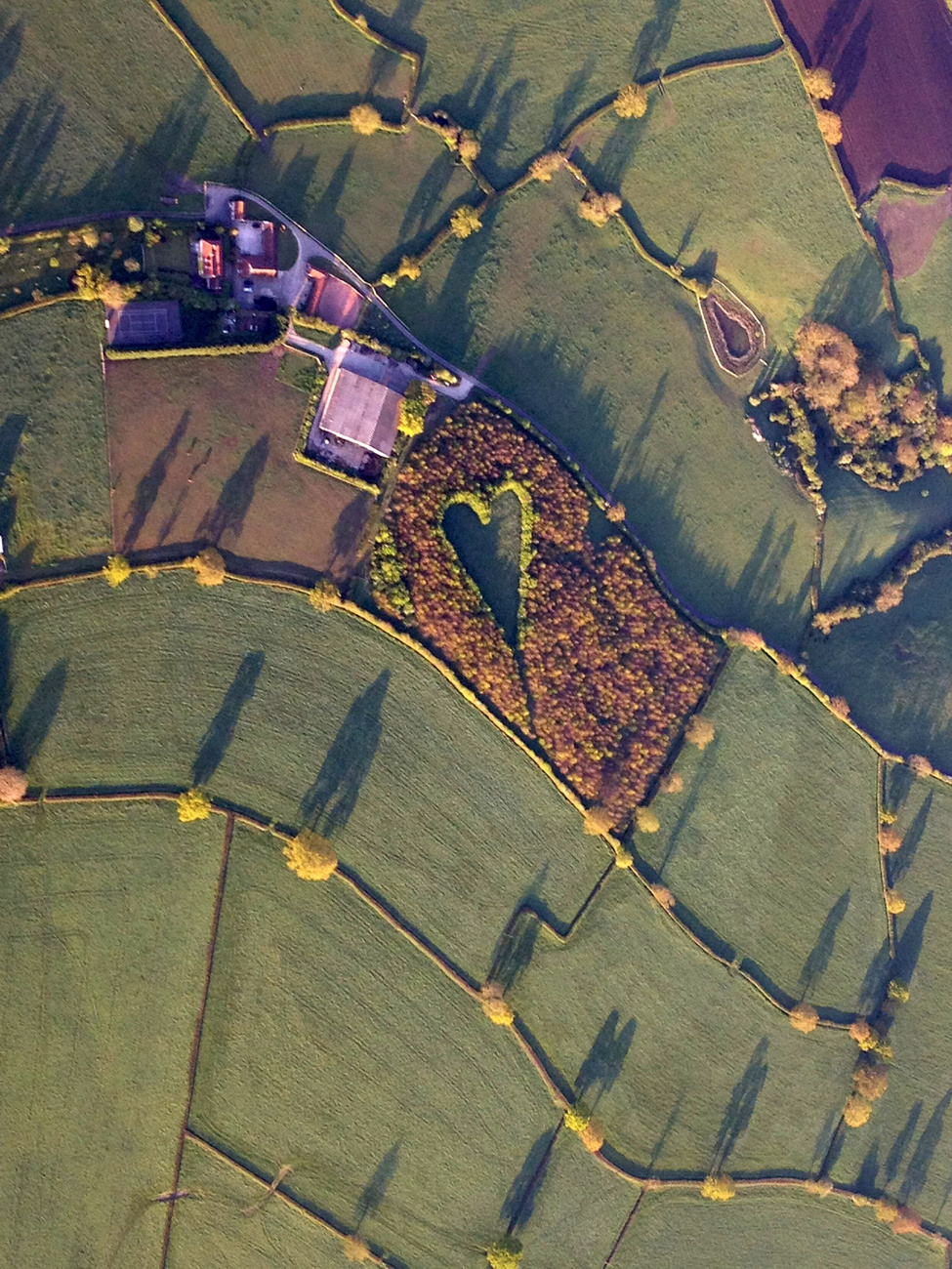 A Gloucestershire melletti szív alakú erdő a magasból