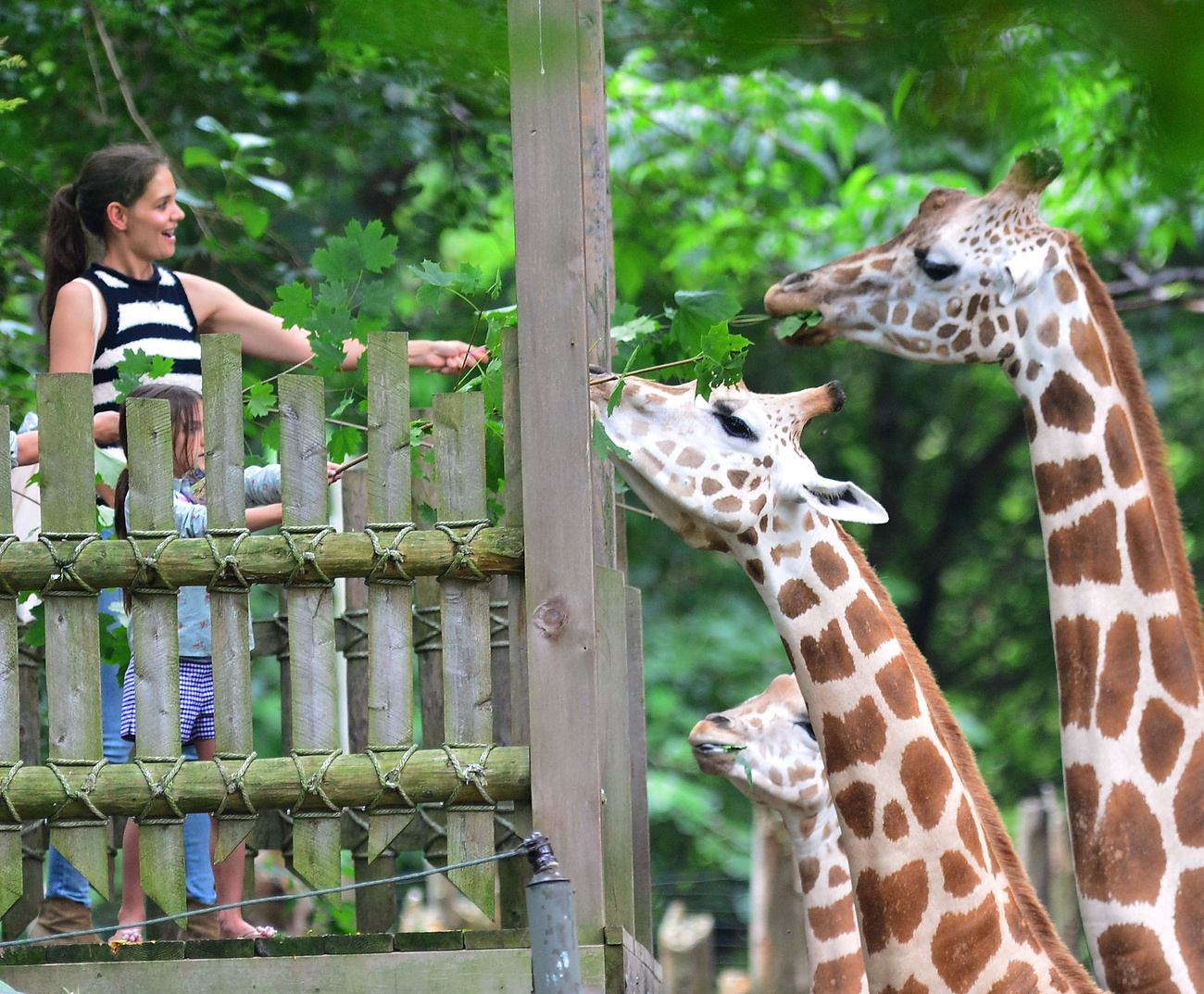 2012. július 28. - Bronx Zoo