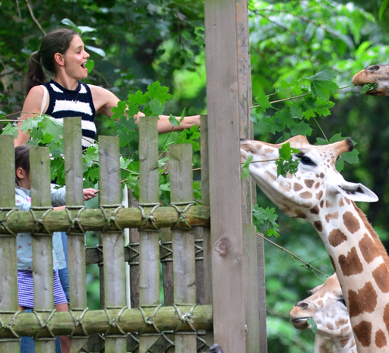 2012. július 28. - Bronx Zoo