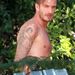 David Beckhamet a bokroknál fotózzák