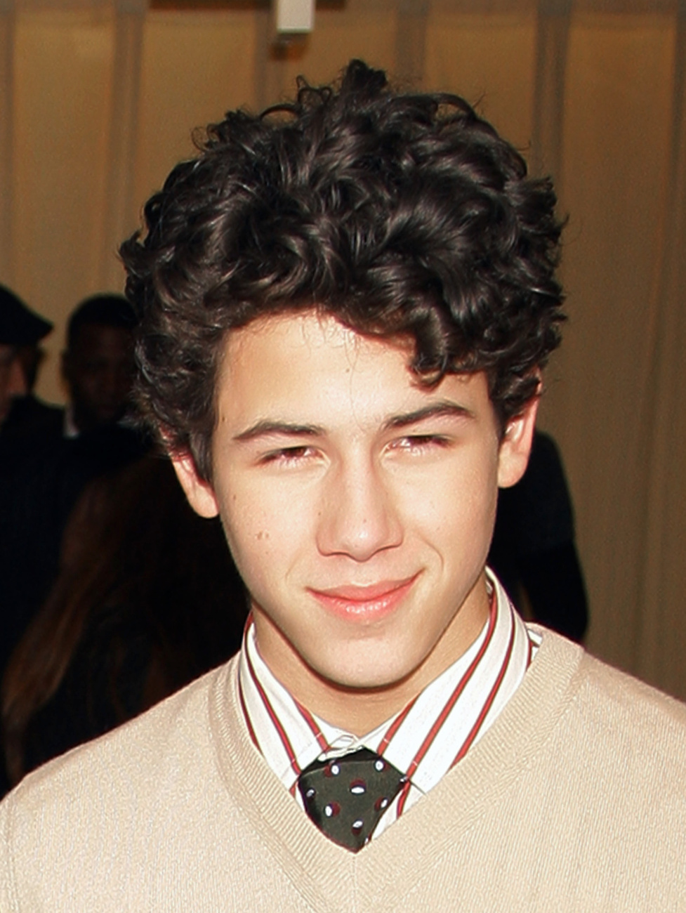 Nick Jonas 2013-ban