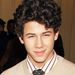 Nick Jonas 2008-ban, 15 évesen