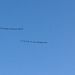A két felirat, amit Malibu felett húzott el egy-egy repülő