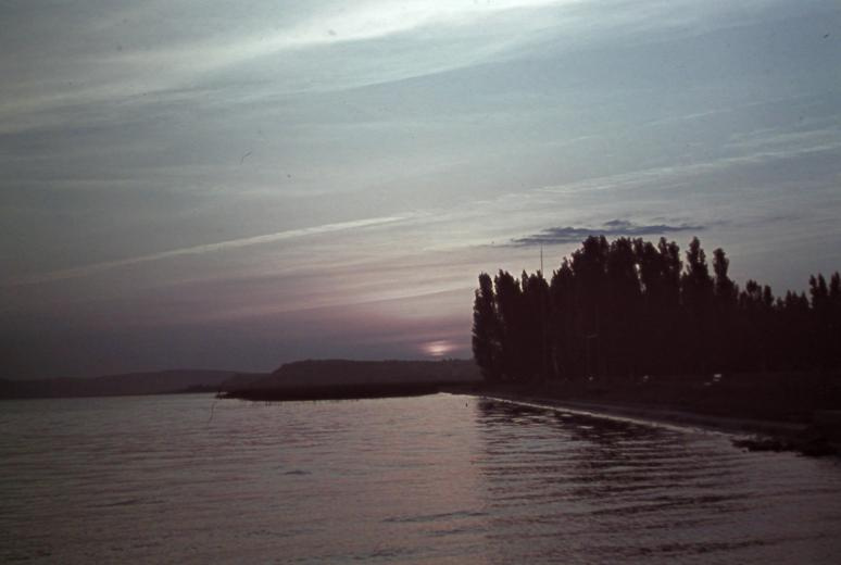 Tapolca, Malom-tó 2010