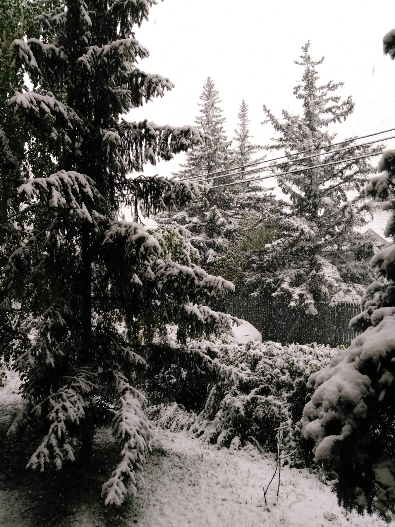 Az óbudai Testvérhegyről látható, ahogy a Hármashatár-hegyen havazik rendületlenül, olvasónk állítása szerint már reggel óta. 