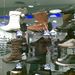 Office Shoes: az Ugghoz hasonló csizmákért 29.900 forintot kérnek.