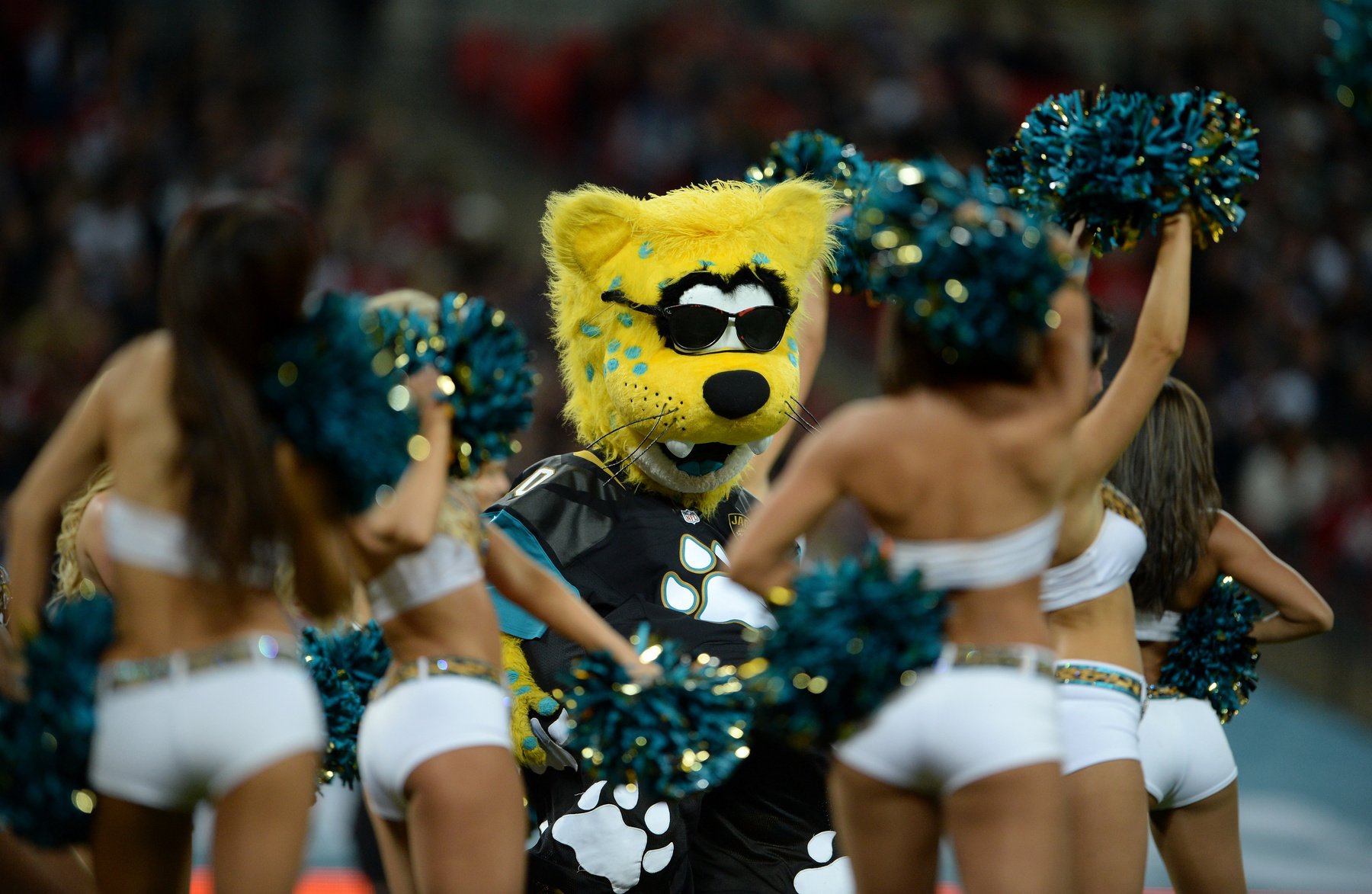 A Seattle Seahawks cheerleadere ünnepli, hogy csapata megnyerte a 2014.es Super Bowlt.